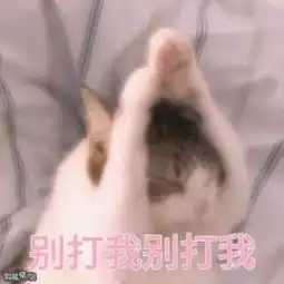装酒浪昂浪照片装酒浪昂浪相册大全yy官方
