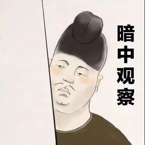 我美我怕谁
