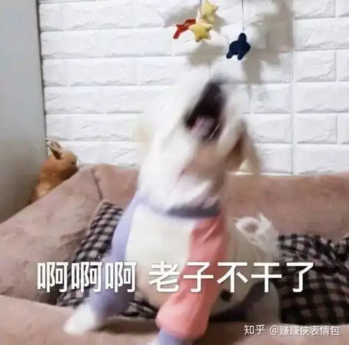 微信表情包图片最适合发朋友圈的经典找骂