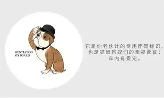 网通社汽车南通宝诚宝马
