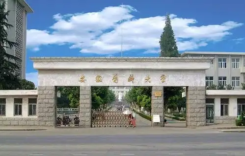 安徽省最难考的4所大学第1名没悬念,第4名也要541分
