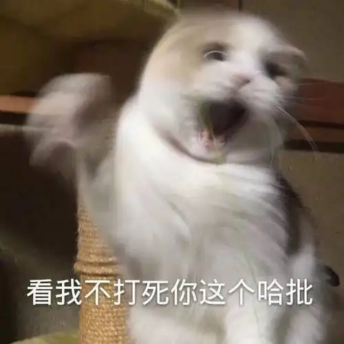 表情包你离我远点,烦人
