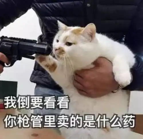 土猫都叫中华田园猫人家也分很多种的好嘛