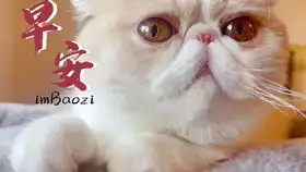 饼哥吐舌头略略略
