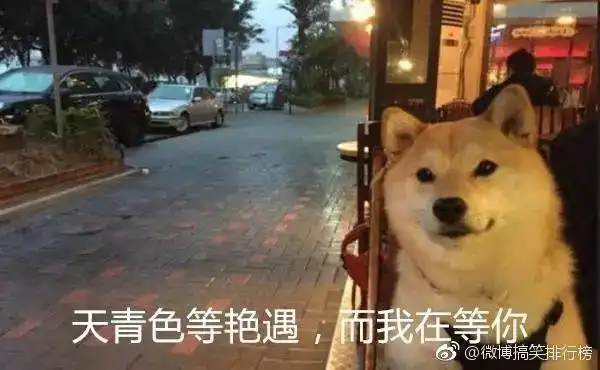 此文章可能会造成1万点暴击伤害...
