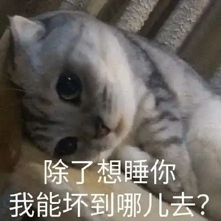 表情包坏心眼小猫咪小狗勾小乌龟胖达能有什么坏心眼
