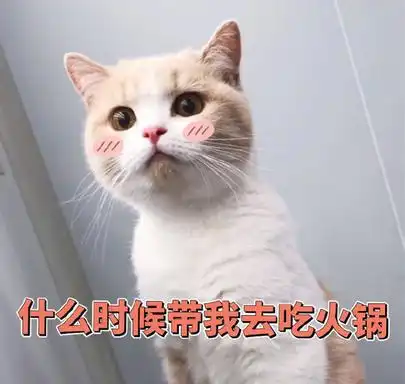 当你定做手机壳发了一个表情包时,哈哈,太过分啦
