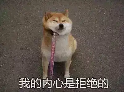 可莉表情包竖中指狗狗