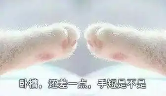 又是一月圆之夜,有兴趣了解一下吗
