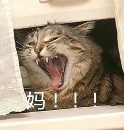 鱼总表情包
