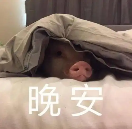 晚上睡觉前除了晚安,还能说什么
