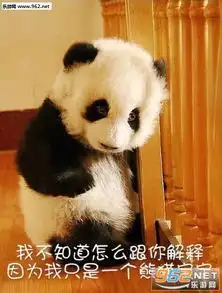 我不听我不听小灰灰熊猫成实表情包图片气到哭泣熊猫表情包图片下载乐游网游戏下载
