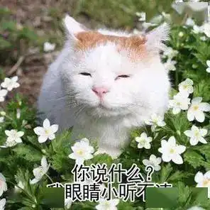 四川的秋天,出来挨骂

