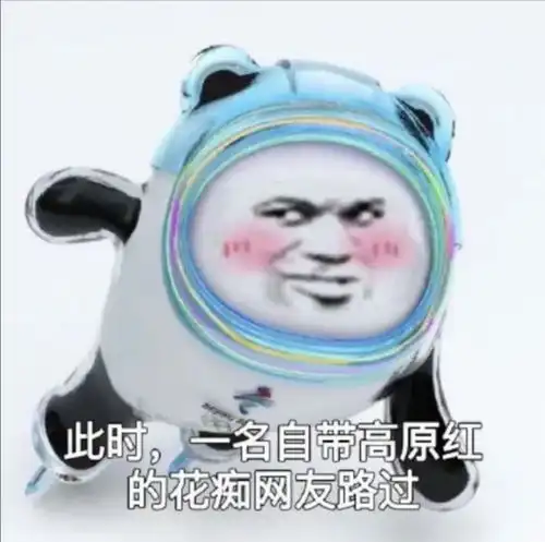 冰墩墩恶搞表情包02.09
