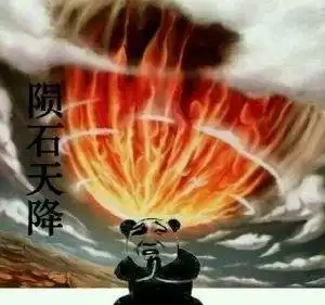 泰拳警告算什么这才是熊猫人大招,功夫表情包
