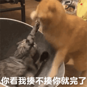 表情包日常聊天通用常用表情包2
