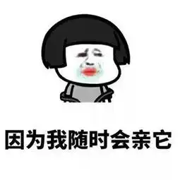 撩妹套路表情包
