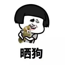 朋友圈都在晒什么
