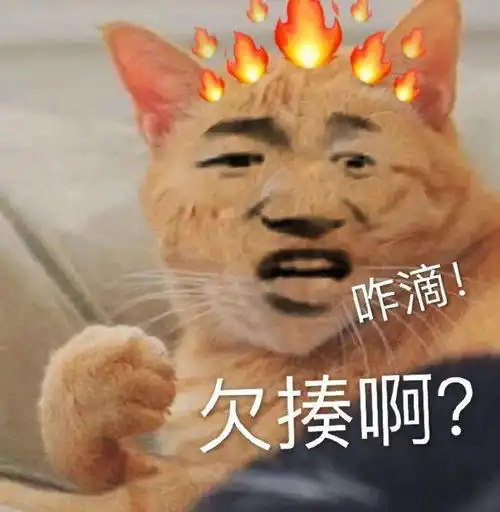 今日份热门表情你又不跟我睡管我几点睡
