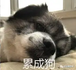 联赛开局无敌的上港,怎么突然就丢了
