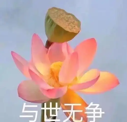 都是别人家的国庆
