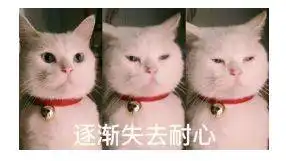 教育金有什么作用

