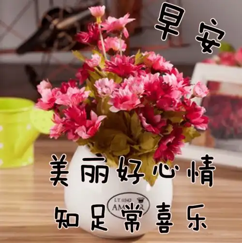 早上好动态表情图片及动图美图大全等我老了,带着你,退出红尘太美了
