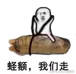 皮皮虾,我们走,去西大
