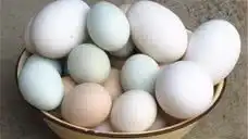 表情孕妈吃这3种食物不仅安胎,还对胎儿大脑有好处,再不喜欢也要吃小企鹅...表情
