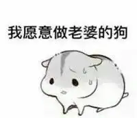 老婆说什么都是对的系列表情图片妻奴哄老婆专用文字图片表情包合集下载乐游网游戏下载
