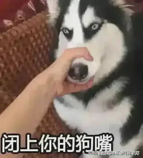 退休前后的故事

