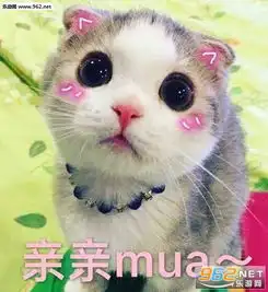 全家人都表示听不懂你在讲啥玩意儿表情包你别是个傻子吧猫咪表情包下载乐游网游戏下载
