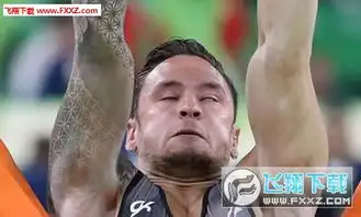 奥运会体操运动员表情包体操运动员抓拍搞笑表情下载飞翔下载
