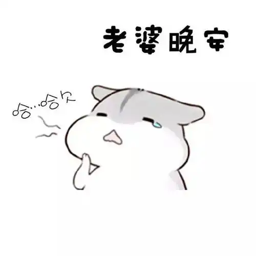 发给老婆的表情包老婆你说什么都是对的
