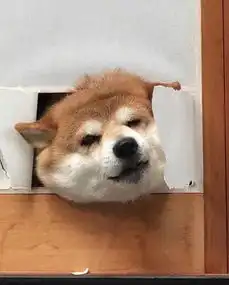 怎么才能不经意让国足看到这个
