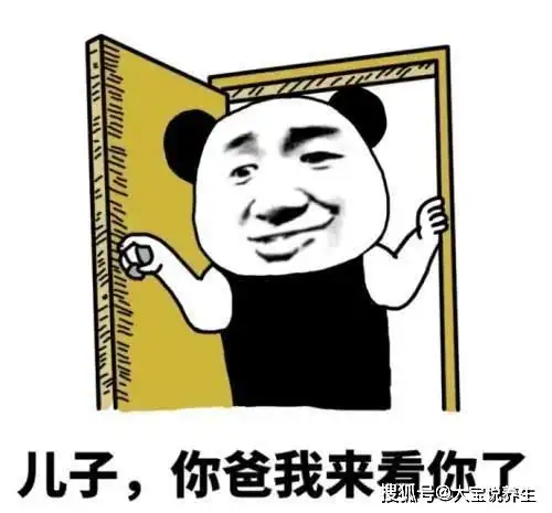 开心一笑饭店门口,一保安走过来说你跟一只石狮子较什么劲
