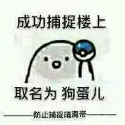qq表情怎样搜索
