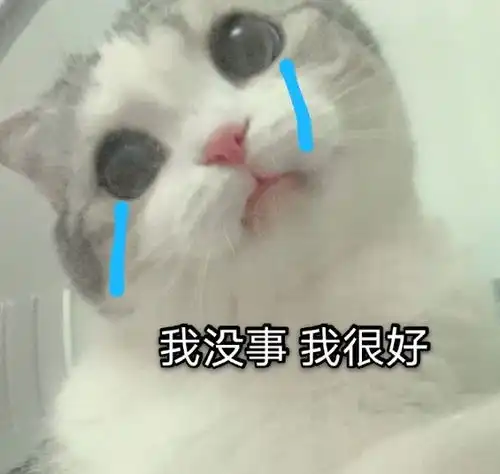 搞笑表情包图片我没事,我很好,我开车去接你
