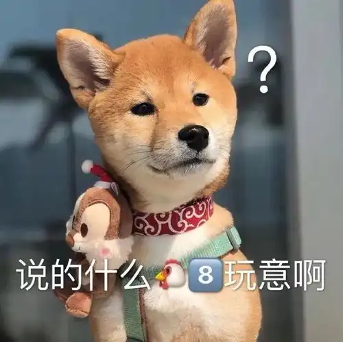 每日壹乐
