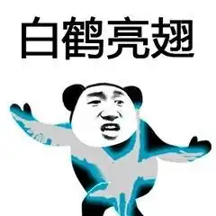 熊猫功夫gif动图表情包高清版下载
