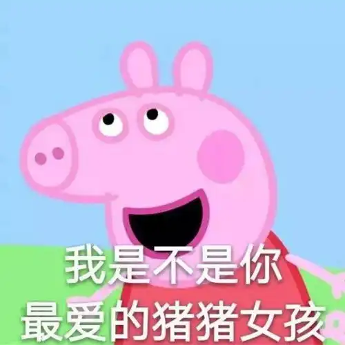 小猪佩奇你大声告诉我今年最火的表情包是谁
