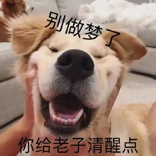 表情包凡事想想自己配不配

