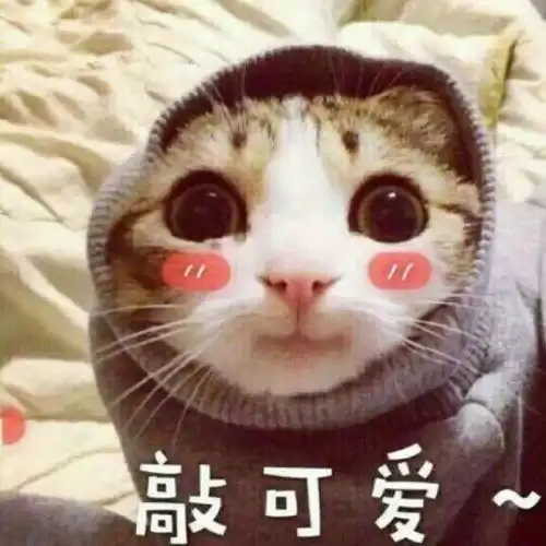 这届观众真的很严格,明星想上综艺圈粉太难了
