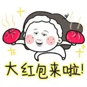 温州一母亲贷款买婚车,嫁女花费百万元
