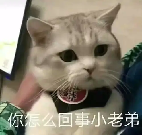 好玩的表情包都在这里
