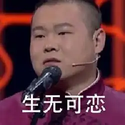 贱人小岳岳

