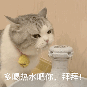 快手抖音热门熊猫头表情包
