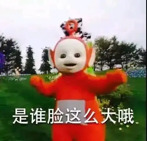 表情包之王必有的表情包
