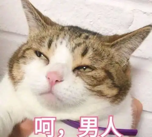 三亚会议想看看你们和姐妹是怎么讨论男人的
