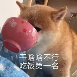 天津相声广播狗子完了,我的豪门梦破灭了
